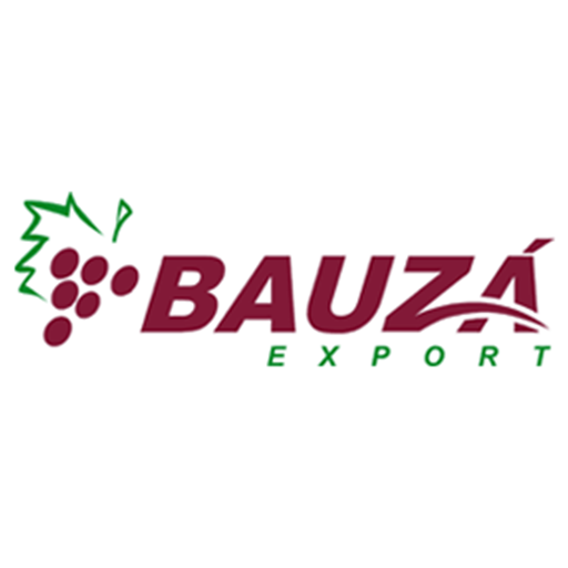 logo_bauza